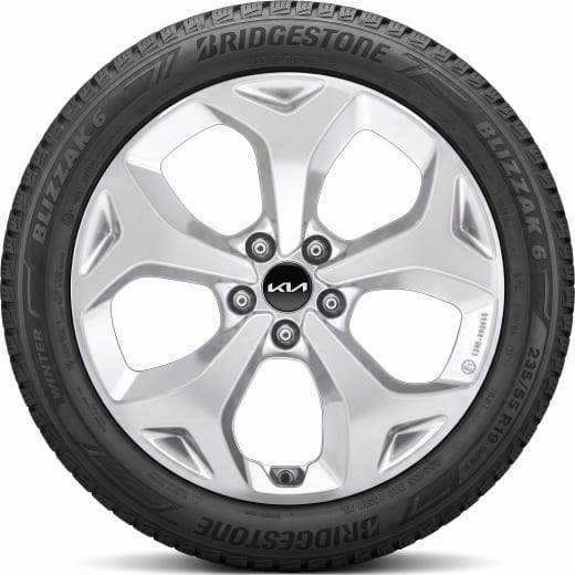 Roues hiver 19 pouces Kia EV5 OV1 Iksan argent | WTEV5923555BRXS-EV5