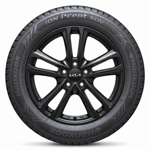 Ruedas de invierno de 19 pulgadas Kia EV6 Tarvos de 5 radios dobles negro | WTEV6923555BBTB/PBTB