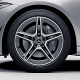 Juego de llantas 53 AMG de 19 pulgadas CLS C257 de 5 radios dobles gris Original Mercedes-Benz