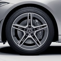 AMG 19 inch 5-dubbele spaak velgenset CLS C257 grijs origine | A2574011500/1600-7X44