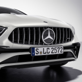 AMG 53 panamericana facelift radiator grill CLS C257 genuine Mercedes-Benz