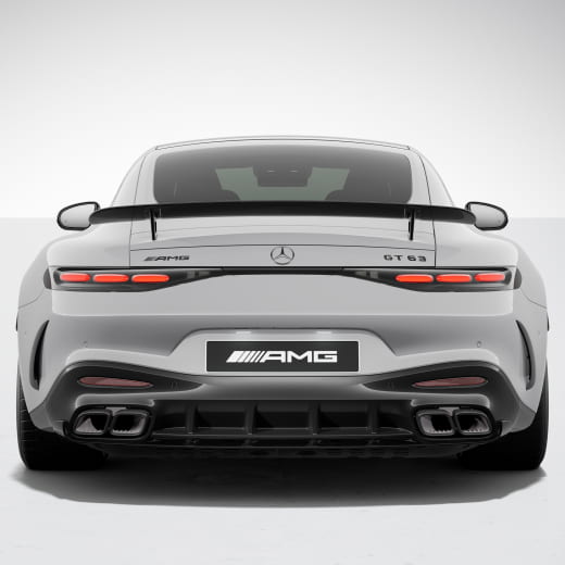 Alettone posteriore statico in carbonio AMG Aerodynamik AMG GT C192 Original Mercedes-AMG | AMGGT-C192-Heckfluegel-Carbon