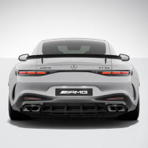 AMG diffuserplank aeropakket AMG GT C192 Origineel Mercedes- | 192-Windleitkanal-AMG-Aero