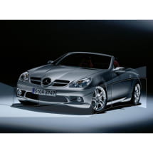 AMG Seitenschweller SLK R171 Mercedes-AMG | B66036255-B