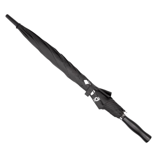 Automatic umbrella black Genuine smart | 10021615