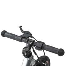 Balance bike for children E-Balance silver aluminium | B66959871