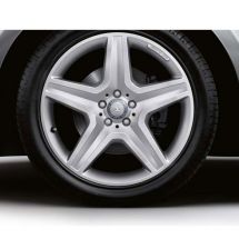 AMG 20 inch velgenset | M-Klasse W166 | 5-spaaks velgen | z  | A16640120027X25-B