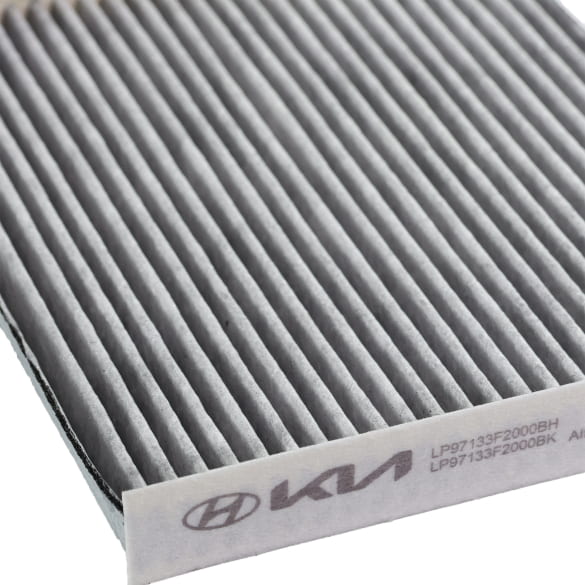Bionic Filter interieurfilter LP97133F2000BK fijnstoffilter  | LP97133F2000BK
