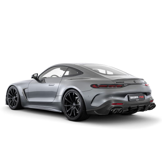 BRABUS añadidos para aleta de carbono mate AMG GT C192 | 192-505-CM