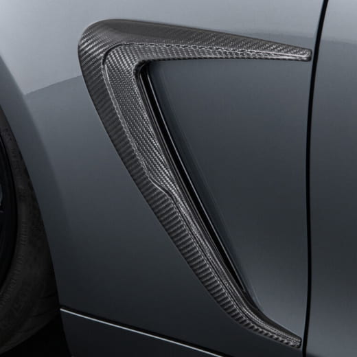 Accesorios de aleta BRABUS carbono brillante AMG GT C192 | 192-505-CG