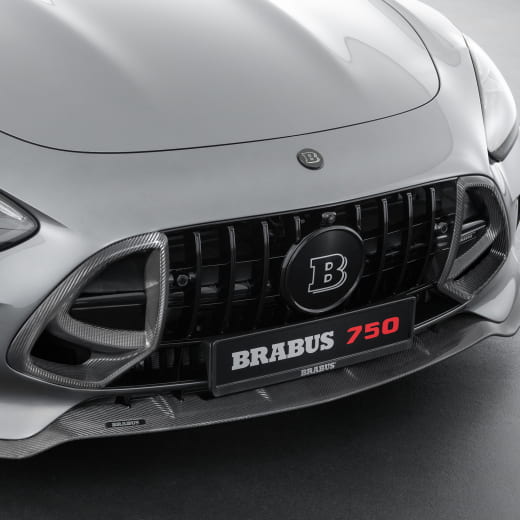 Inserti griglia BRABUS carbonio opaco AMG GT C192 | 192-295-CM