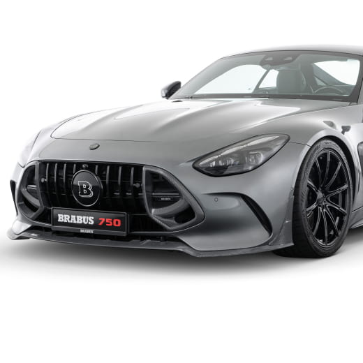 Inserti griglia BRABUS carbonio opaco AMG GT C192 | 192-295-CM