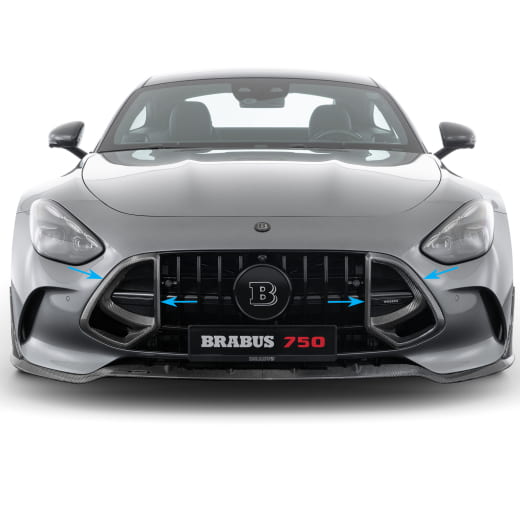 Inserciones de parrilla BRABUS carbono mate AMG GT C192 | 192-295-CM