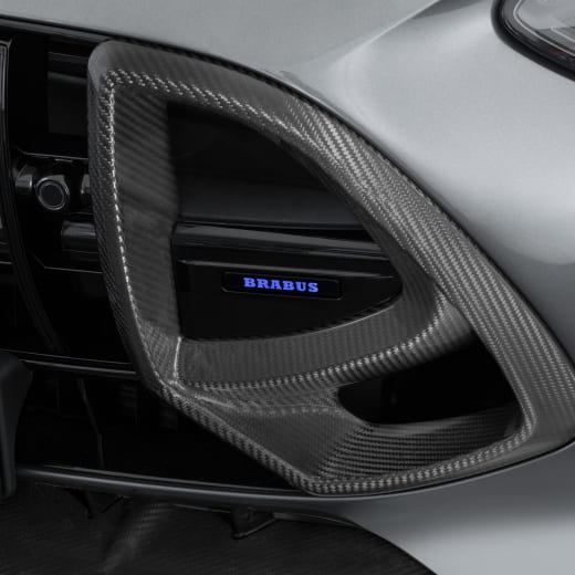 Inserciones de parrilla BRABUS carbono mate AMG GT C192 | 192-295-CM