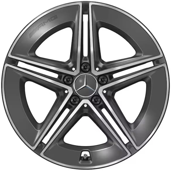 E 53 AMG 19 inch velgen E-Klasse S214 W214 5-dubbele spaken Tantaalgrau Origineel Mercedes-AMG