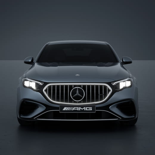 Origineel Mercedes 53 AMG grille auto Panamericana | E-Klas­ | Panamericana-W214-K