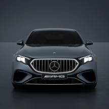 Origineel Mercedes 53 AMG grille auto Panamericana | E-Klas­ | Panamericana-W214-K