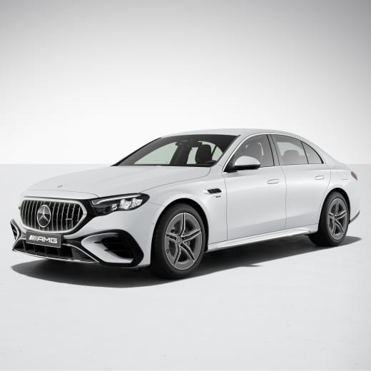 Origineel Mercedes 53 AMG grille auto Panamericana | E-Klas­ | Panamericana-W214-K