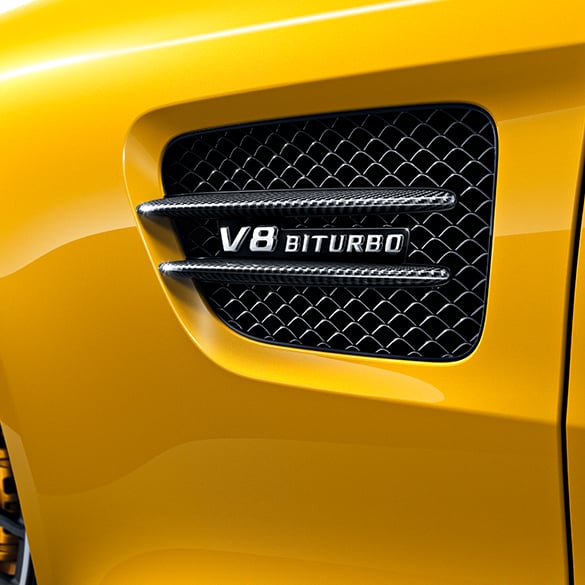 Carbon Zierleisten Kotflügel AMG GT C190 Original Mercedes-Benz Sport  | AMGGT-Luftgitter-1