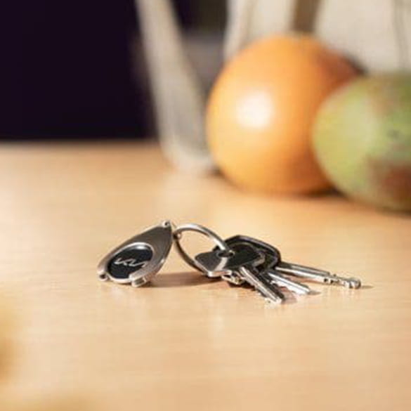 Key chain shopping chip KIA logo silver black Genuine KIA | 66951ADE2801