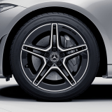 Juego de llantas 53 AMG de 19 pulgadas CLS C257 de 5 radios dobles negro Original Mercedes-Benz