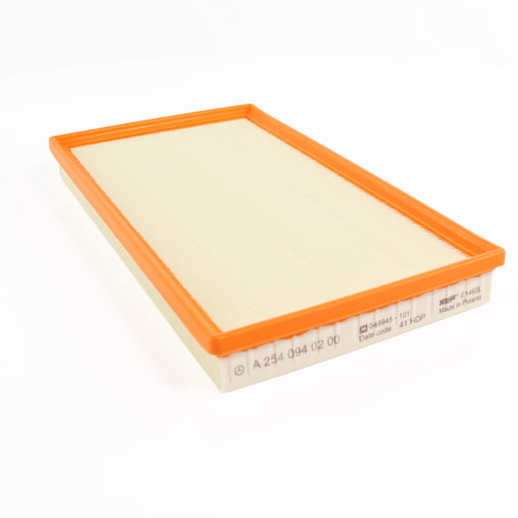 Luftfilter Filtereinsatz A2540940200 Original Mercedes-Benz | A2540940200