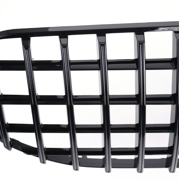 Panamericana grille auto GLS SUV X167 zwart CHROMETEC | X167-PA-KG-S