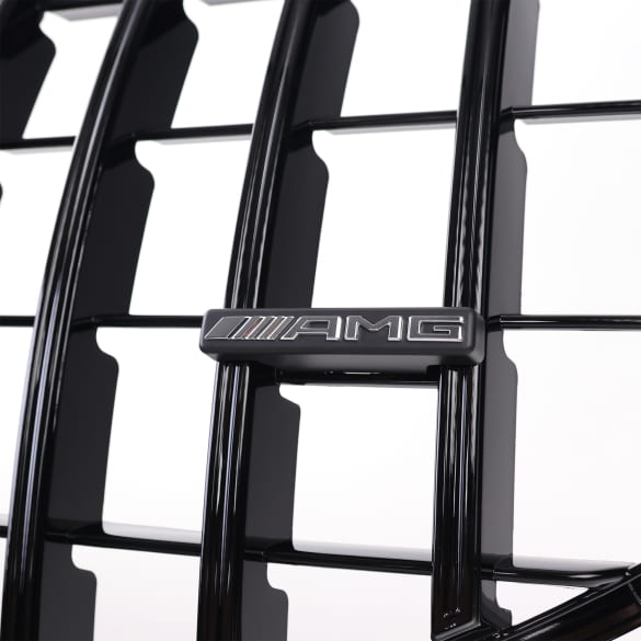 Panamericana grille auto GLS SUV X167 zwart CHROMETEC | X167-PA-KG-S