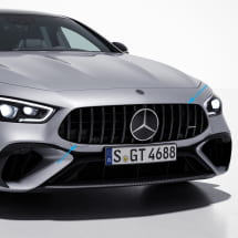 Panamericana grille auto Dark Shadow AMG GT 4-deurs | A290885-0500