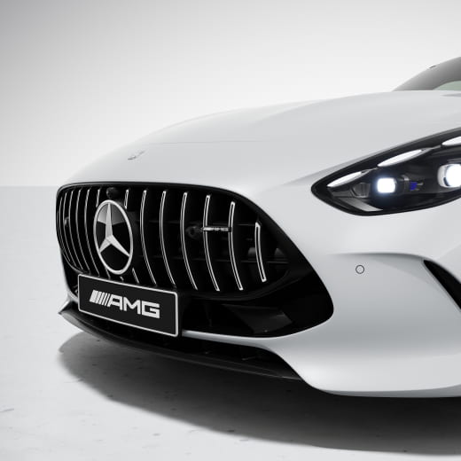Parrilla Panamericana AMG cromada en plata AMG GT C192 | C192-Pana-silber