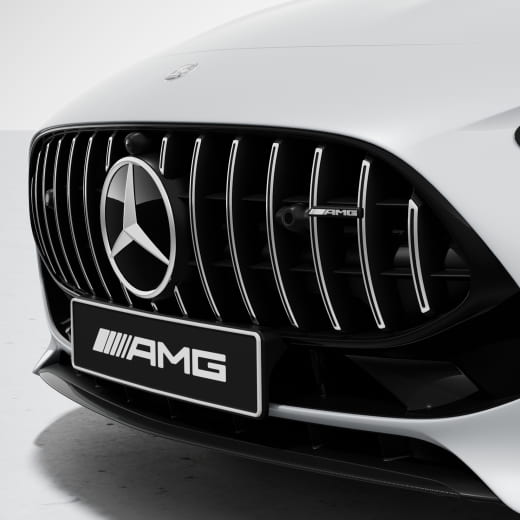 Parrilla Panamericana AMG cromada en plata AMG GT C192 | C192-Pana-silber