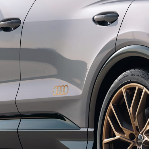 Pellicola decorativa Audi Anelli bronzo opaco originale Audi  | 89A06431750C