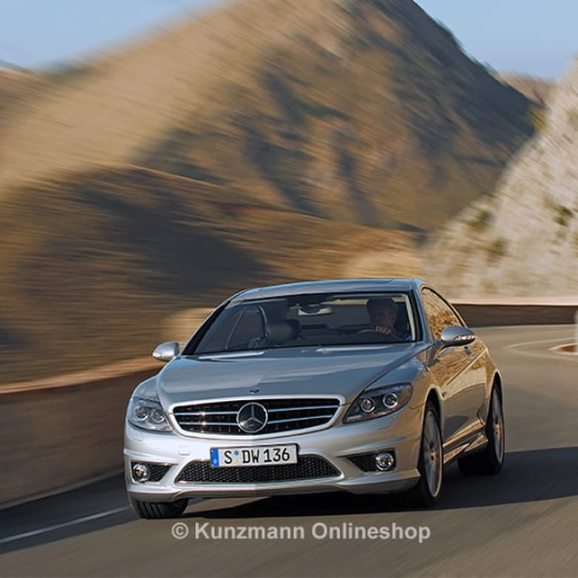 Griglia anteriore CL 63 AMG CL W216 originale Mercedes-Benz | CL63-Kuehlergrill