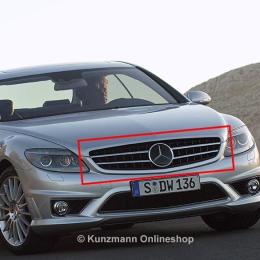 Griglia anteriore CL 63 AMG CL W216 originale Mercedes-Benz | CL63-Kuehlergrill