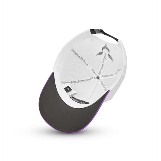 Pet Lewis Hamilton wit/lila Mercedes-AMG Petronas F1 | B67999692