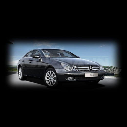 Cerchi in lega 17 pollici | Design a 10 razze | CLS W219 | Originale Mercedes-Benz | 