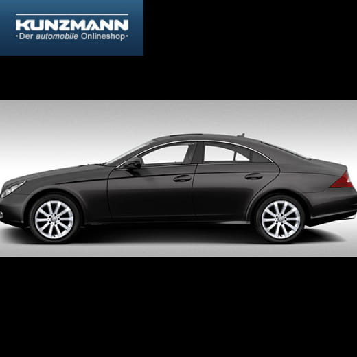 Cerchi in lega 17 pollici | Design a 10 razze | CLS W219 | Originale Mercedes-Benz | 