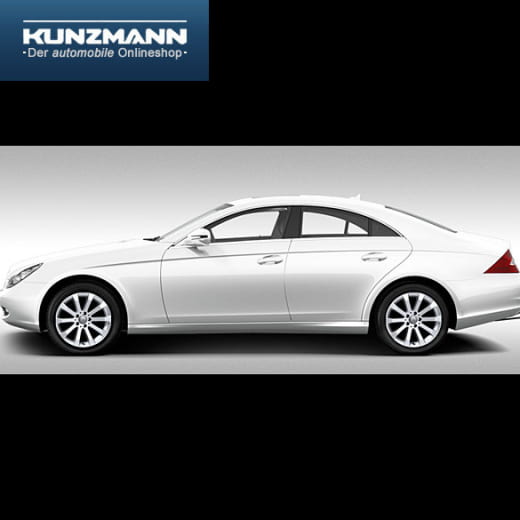 Cerchi in lega 17 pollici | Design a 10 razze | CLS W219 | Originale Mercedes-Benz | 