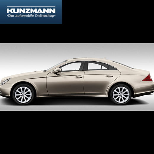 Cerchi in lega 17 pollici | Design a 10 razze | CLS W219 | Originale Mercedes-Benz | 