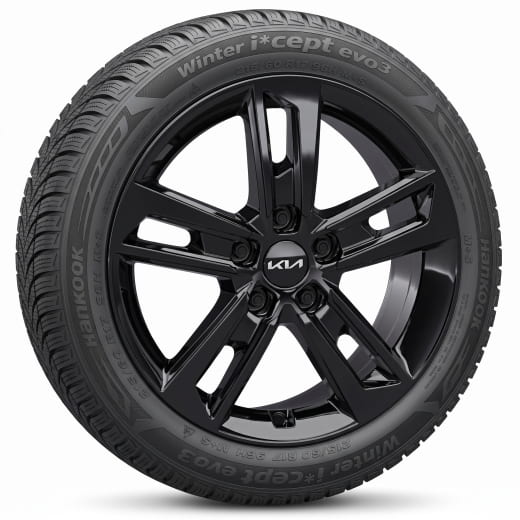 Pneus hiver 17 pouces Kia EV4 AMSA à 5 doubles branches noir | WTEV4721560HCAB/BRAB