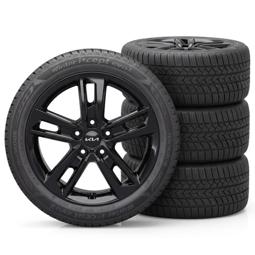 Pneus hiver 17 pouces Kia EV4 AMSA à 5 doubles branches noir | WTEV4721560HCAB/BRAB