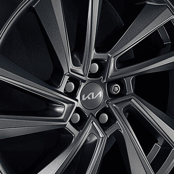 Radmuttern Felgenschloss dunkelchrom Original KIA | 66490ADE50DC