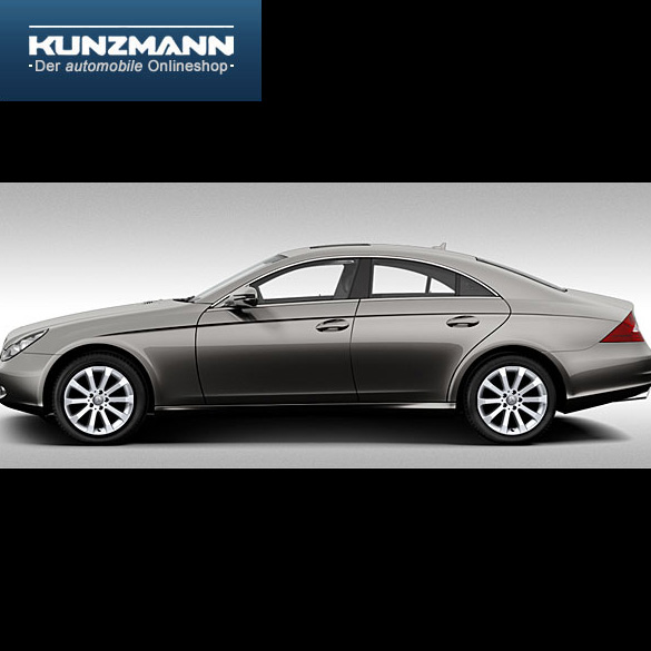 17 Zoll Alufelgen | 10-Speichen-Design | CLS W219 | Original Mercedes-Benz | 