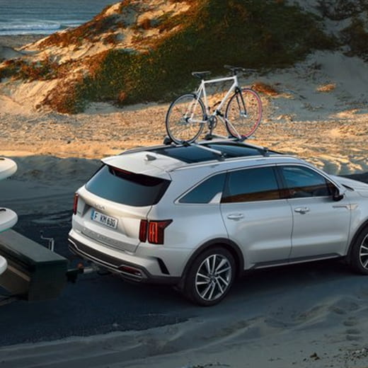 Roof bike carrier Active Steel Plastic Silver Black Genuine KIA | 66700ADE10