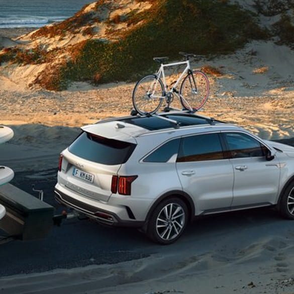 Roof bike carrier Active Steel Plastic Silver Black Genuine KIA | 66700ADE10