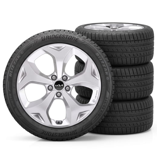 Ruedas de invierno 19 pulgadas Kia EV5 OV1 Iksan plata | WTEV5923555BRXS-EV5