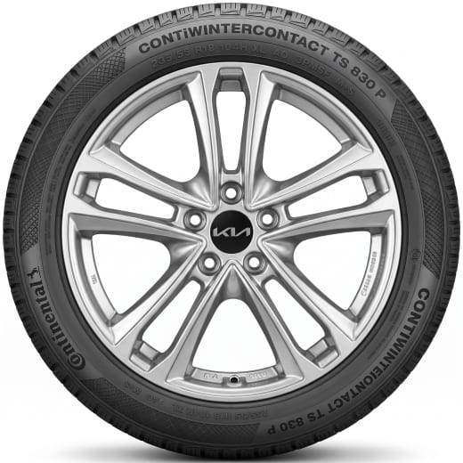 Ruedas de invierno de 18 pulgadas Kia Sportage NQ5 5 radios dobles Tavros negro | WTNQ5823555PBTB/BKTB