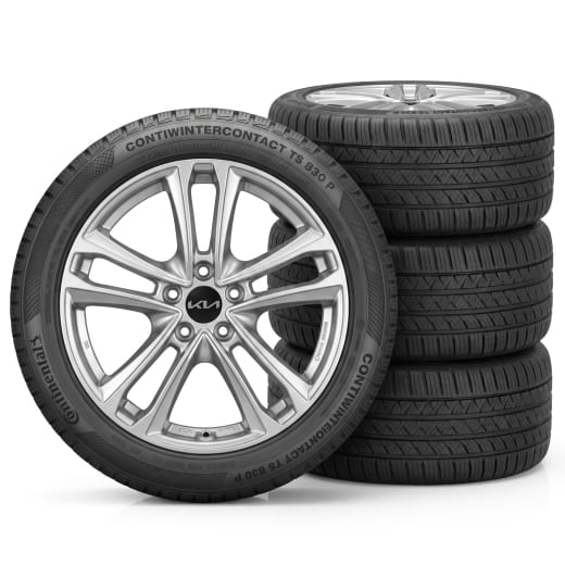 Ruedas de invierno de 18 pulgadas Kia Sportage NQ5 5 radios dobles Tavros negro | WTNQ5823555PBTB/BKTB