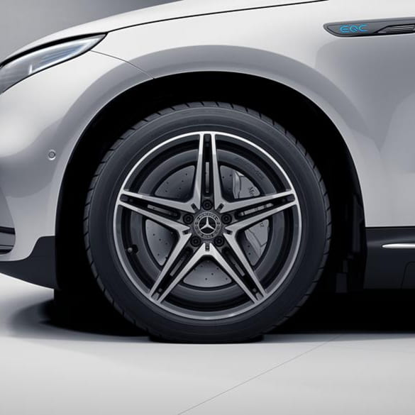 winter wheels Pirelli 5-twinspoke tantal grey high-sheen 19 inch EQC N293