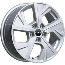 17 inch winter wheels KIA EV3 Bridgestone Dasan 5-spokes silver | WTEV3721560BRMO-B